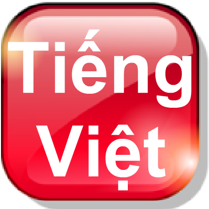 Vietnamese language